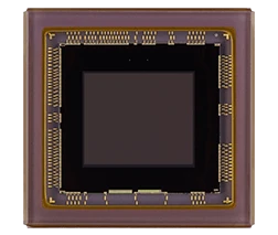 Polarization Image Sensor